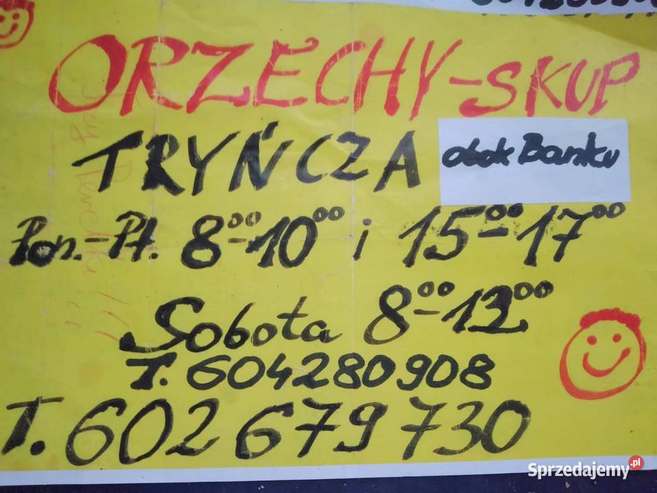 Orzechy włoskie skup Tryńcza