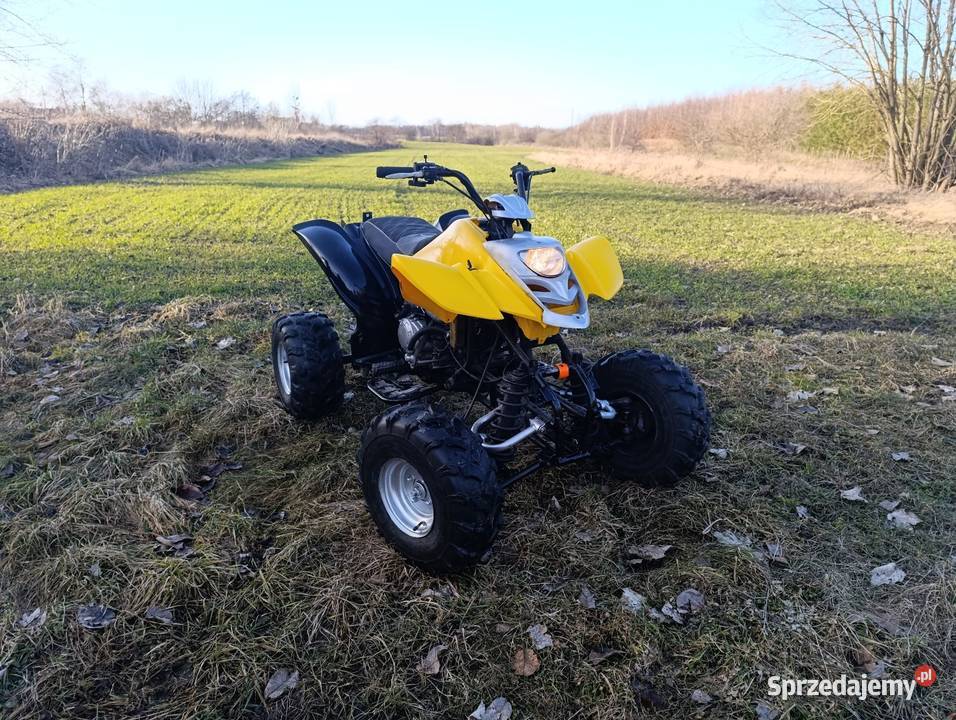 Quad Bashan 200 kujawsko-pomorskie Poledno