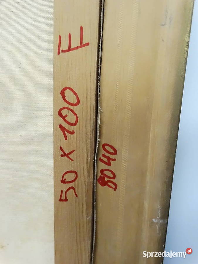 Stary Obraz Olejny Na Płótnie Wiejski Pejzaż Obrazki i obrazy lubelskie Biłgoraj