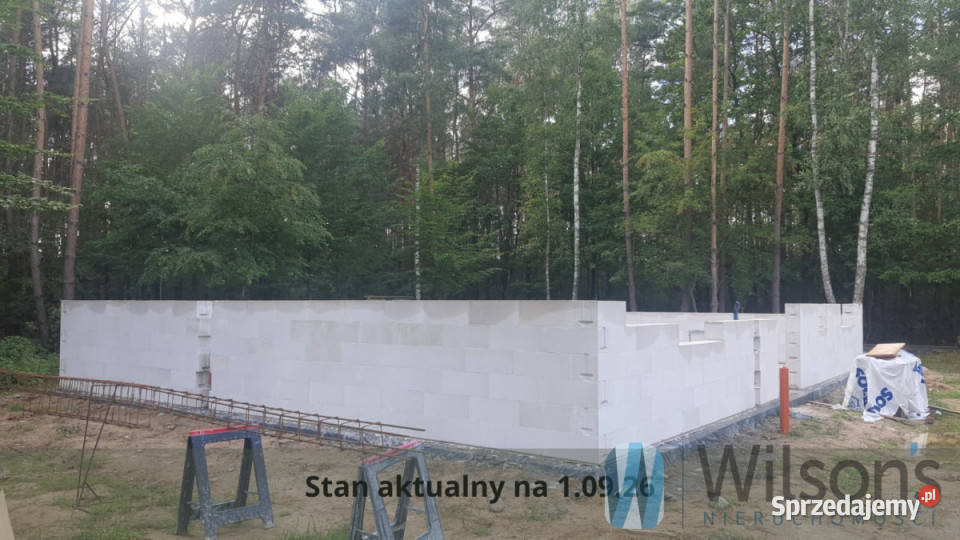 Dom wolnostojący Żabia Wola 14172m2