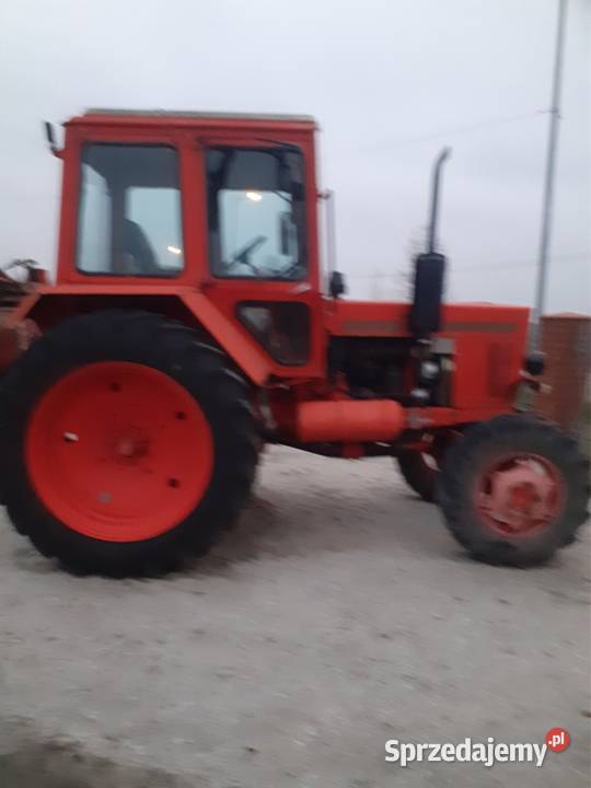 Mtz 82 Bzowiec