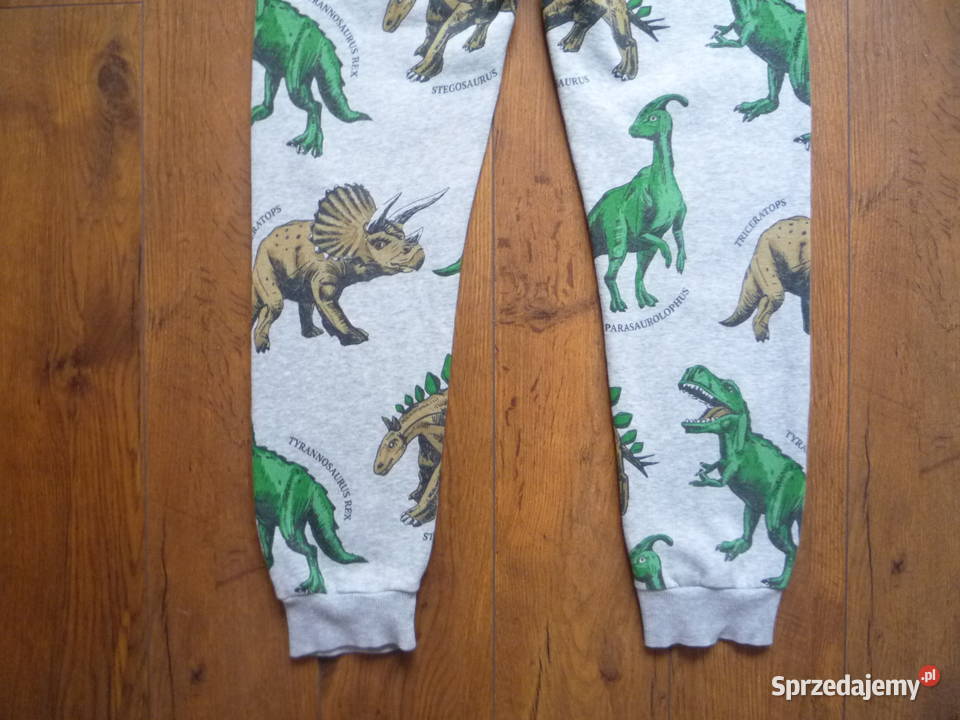 HM 134140 Szare Spodnie Dresowe Dinozaury zachodniopomorskie Szczecin