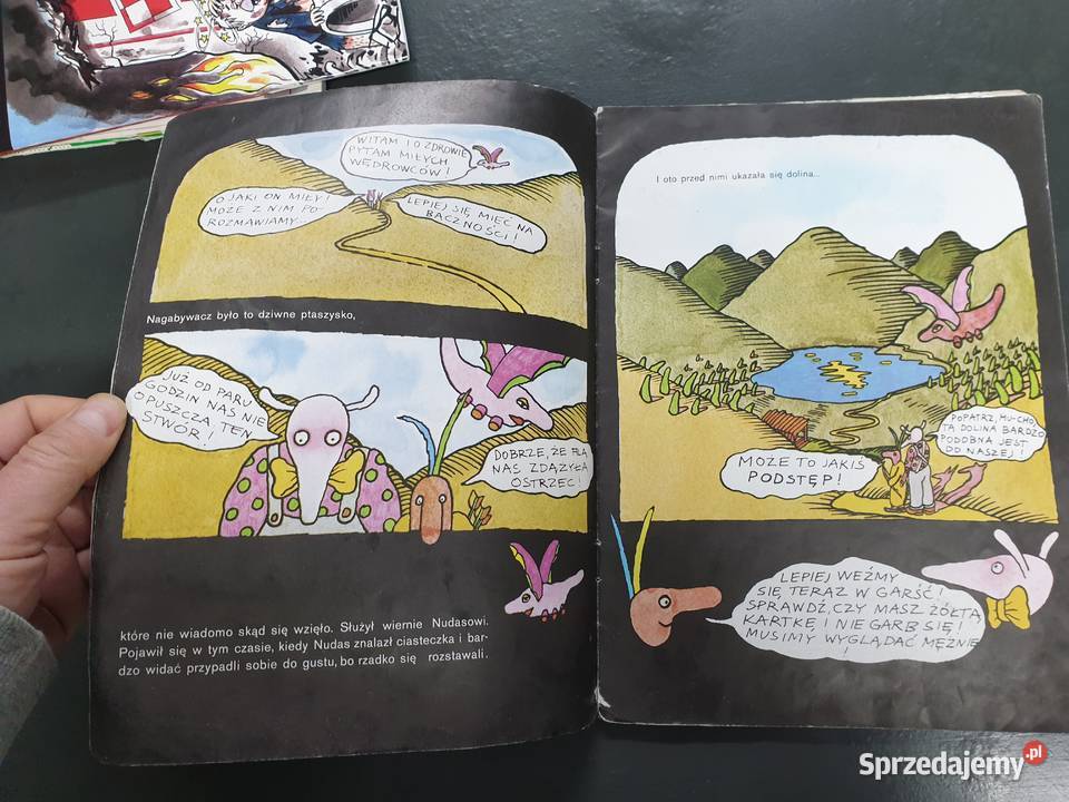 W dolinie Ciekawości Magda i Andrzej Dudzińscy humor i satyra Gdynia