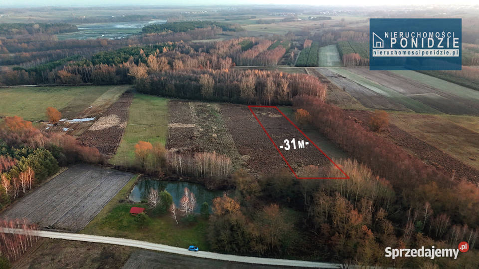 Działka rolna 059 ha Skrobaczów gm Stopnica