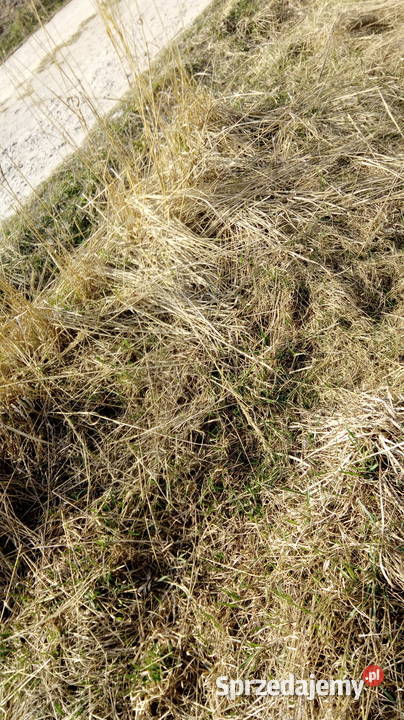 Dzialka budusł 1000 m2 w Łoziska kPiaseczna bezp 639zł/m2 mazowieckie