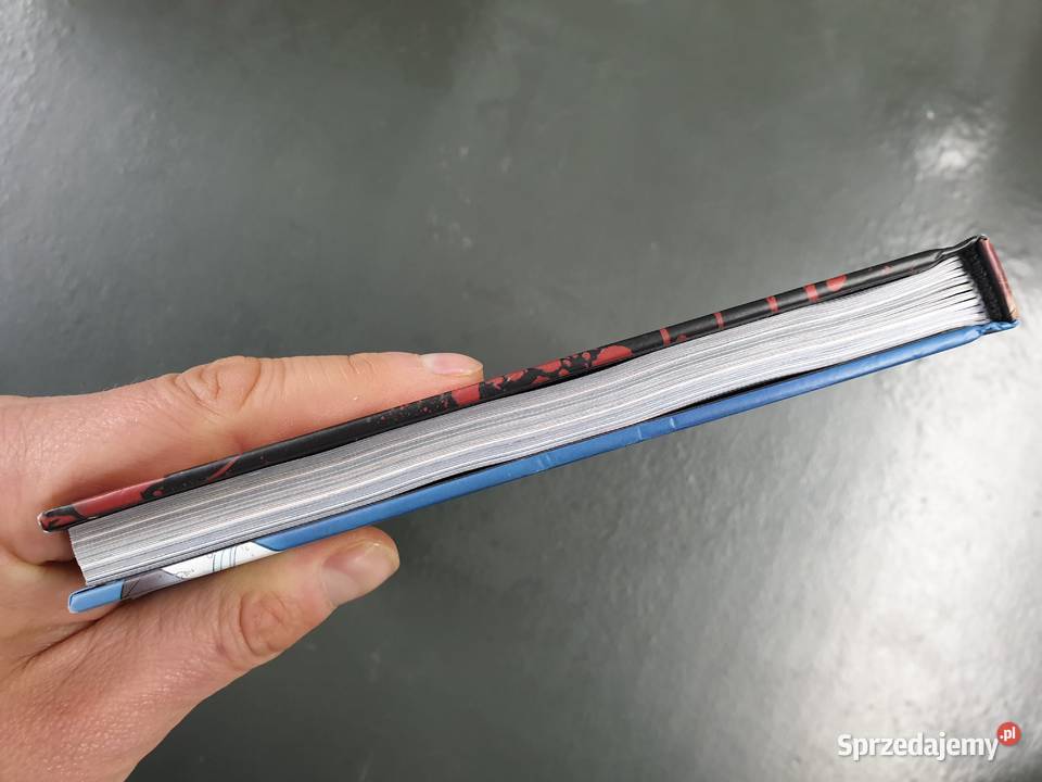 Suicide Squad Zderzenie ze ścianą Gdynia