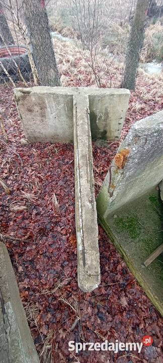 Mur oporowy ściana oporowa typ T Bronisław