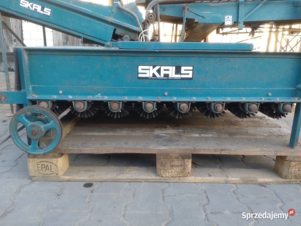 Sortownik do ziemniaków ze szczotkarką Skals Sieradz