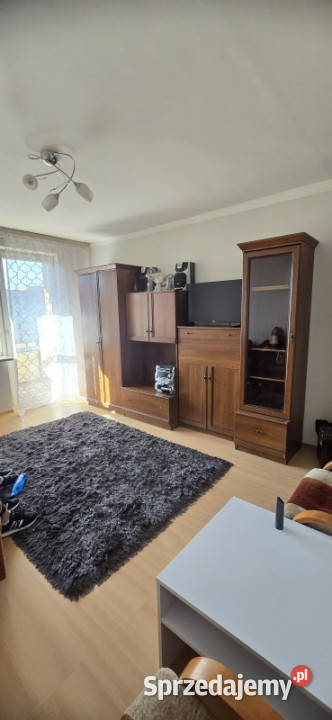 Mieszkanie 3 pokoje borki pawia