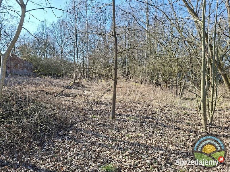 Facimiech gm Skawina działka budowlana 954 m2 220zł/m2