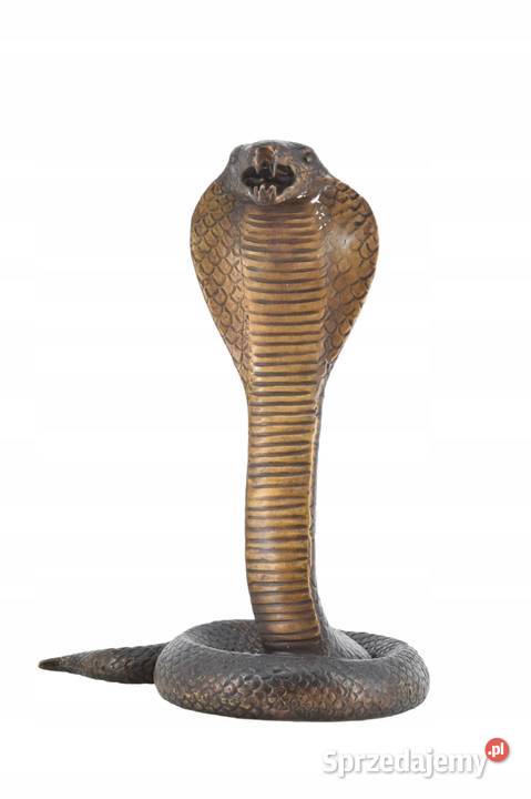 Groźna Kobra Wąż Grzechotnik Cobra Figura Rzeźba Kraków