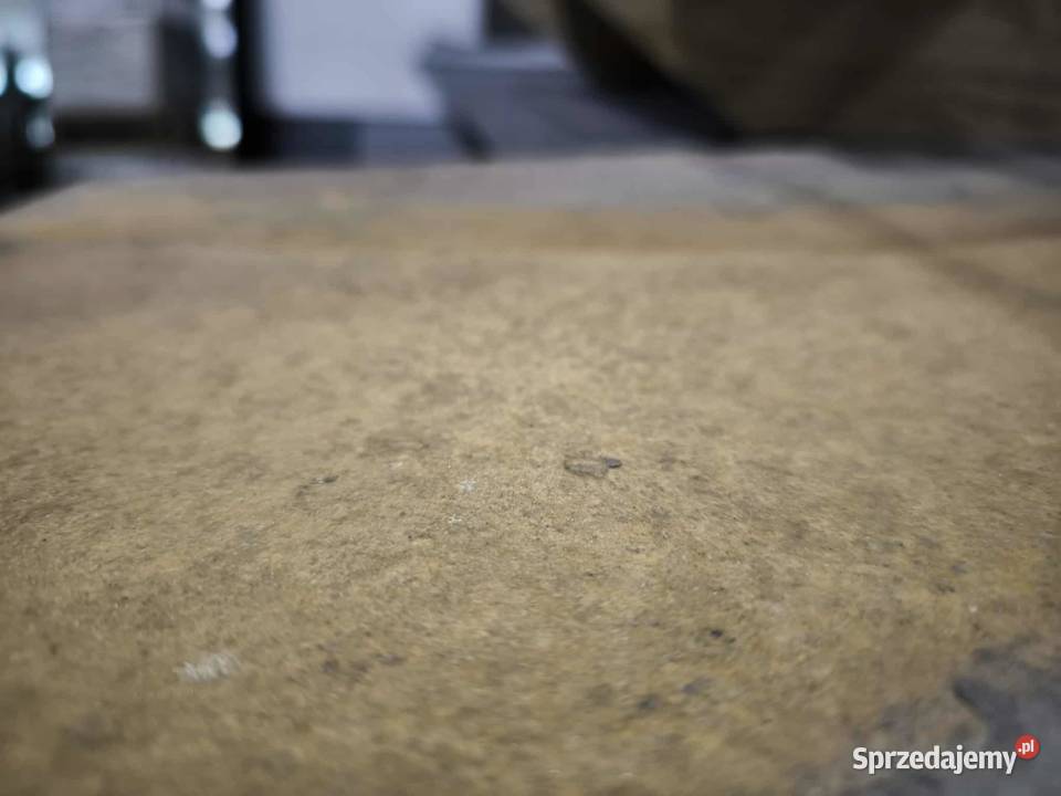 Płytka Łupek Lava Rock Rustic naturalny 60x40x12 pomorskie Rumia