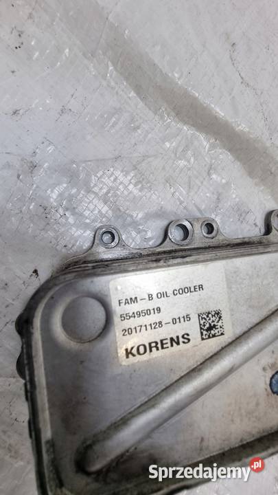 OPEL INSIGNIA B 20 CDTI CHŁODNICZKA OLEJU kujawsko-pomorskie