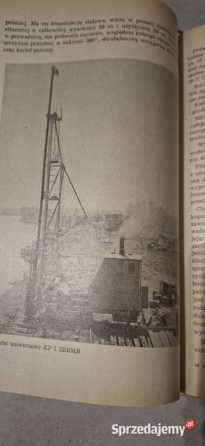 Pale i fundamenty palowe wyjątkowo rzadkie I Łęczyca