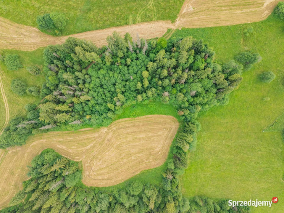 Działki rolne w miejcowości Ciche małopolskie