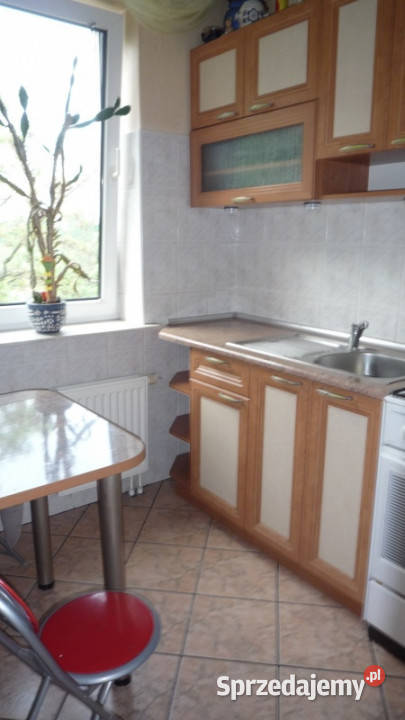 Sprzedam kawalerkę w centrum Szczecina bez 10781zł/m2 zachodniopomorskie Szczecin