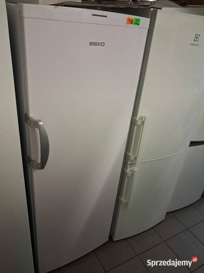 ZAMRAŻARKA BEKO Wrocław