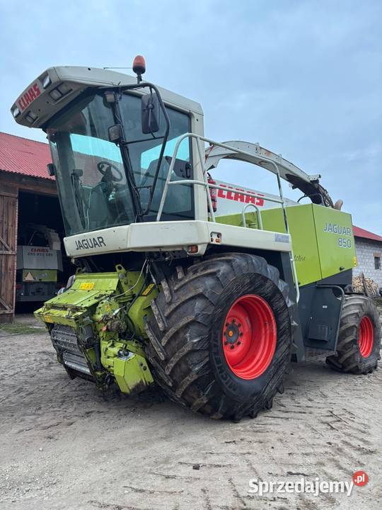 Sieczkarnia Claas Jaguar 850 nieuszkodzony Kraszewice