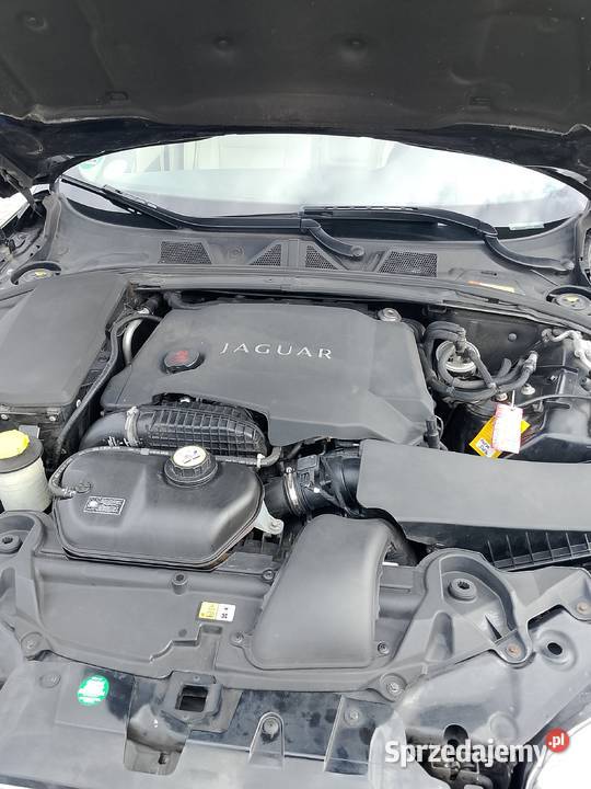 Jaguar xfs stan plus łopatki zmiany biegów wielkopolskie Rabowice