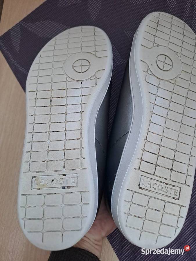 Lacoste grafitowe dolnośląskie Wrocław sprzedam