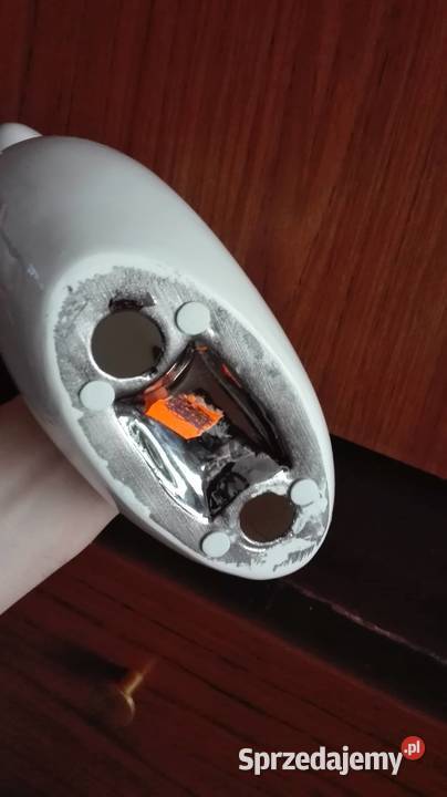 Łabędź serce Warszawa