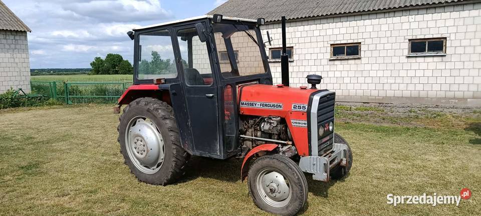 Ursus MF 255 Honiatyczki sprzedam