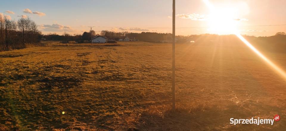 Działka rolna 98 arów z warunkami zabudowy 17 kujawsko-pomorskie Kopanino