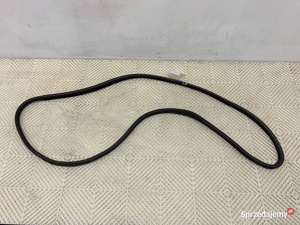 USZCZELKA DRZWI PRZÓD LEWA BMW E71 SUV 0714