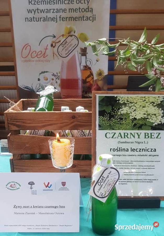 OCET Z KWIATU CZARNEGO BZU Kościelec