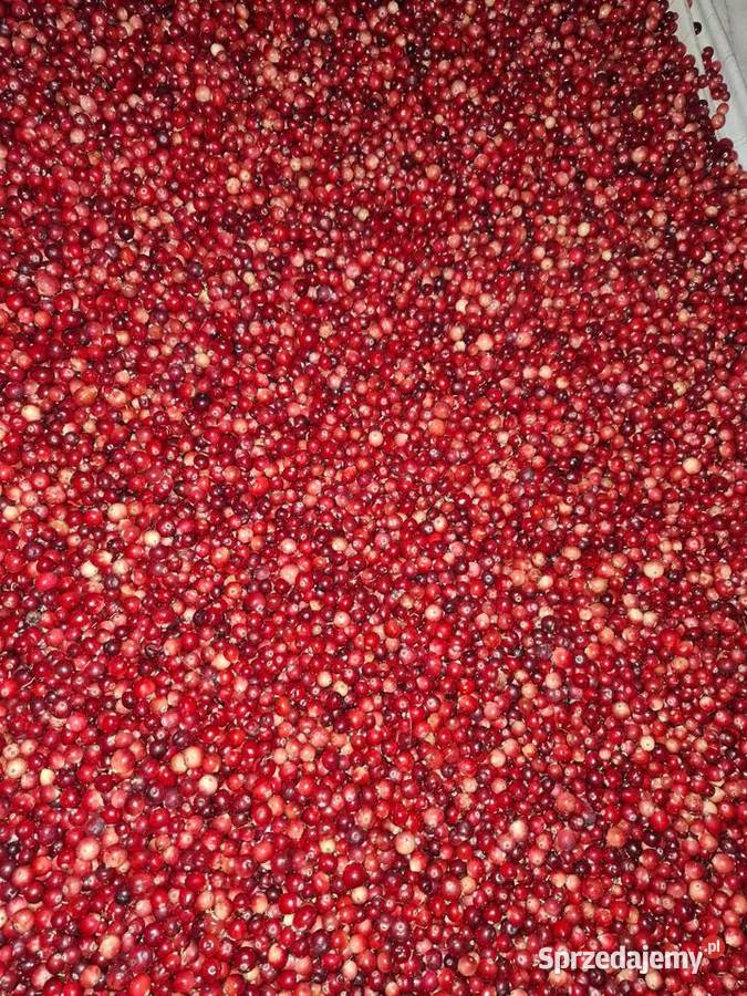 Żurawina bagiennaleśnabłotna litr Pozostałe Janów Lubelski