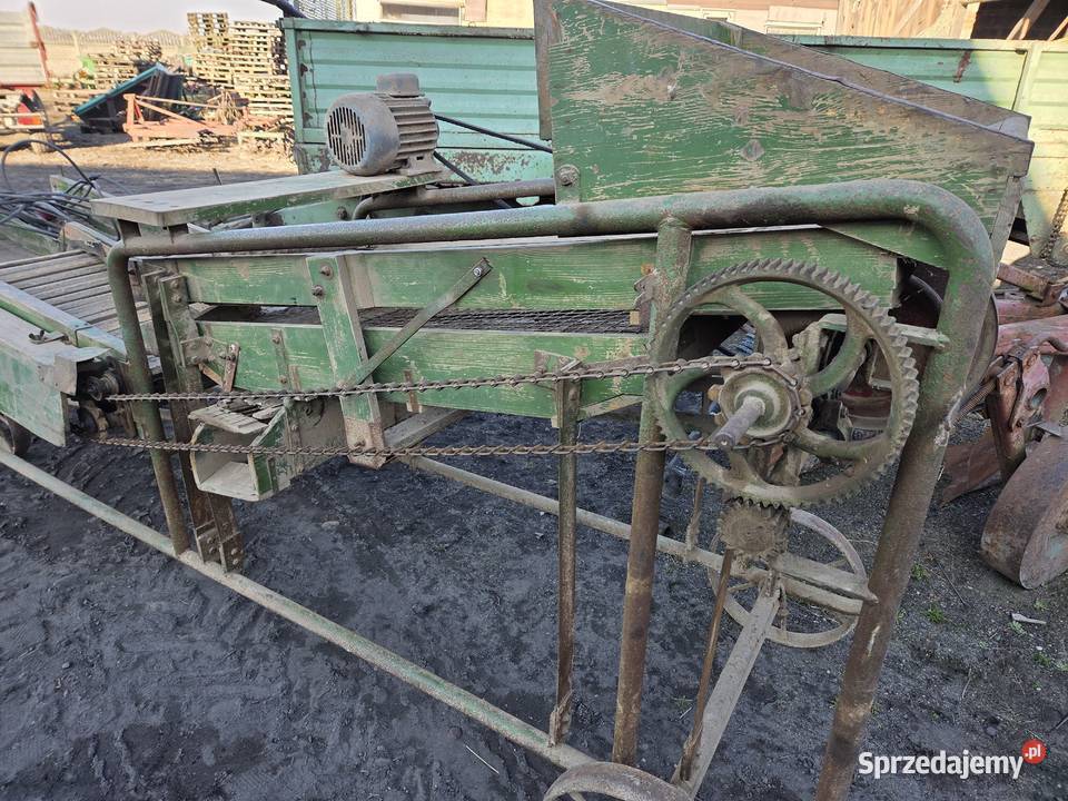 Sortownik do ziemniaków Amazone Kalisz