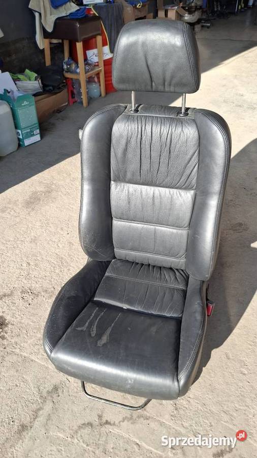 Skóry Accord VI Białogard