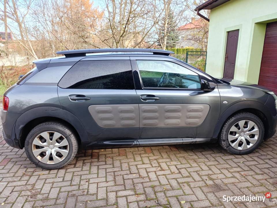 Citrona C4 Cactus 2017 Miechów