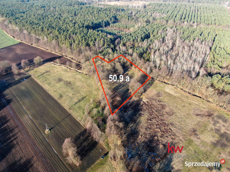 Sprzedam grunt 5090m2 Kuźniczysko inwestycyjna