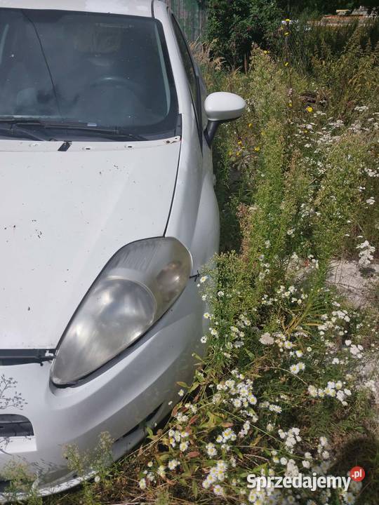 sprzedam Lubycza Królewska