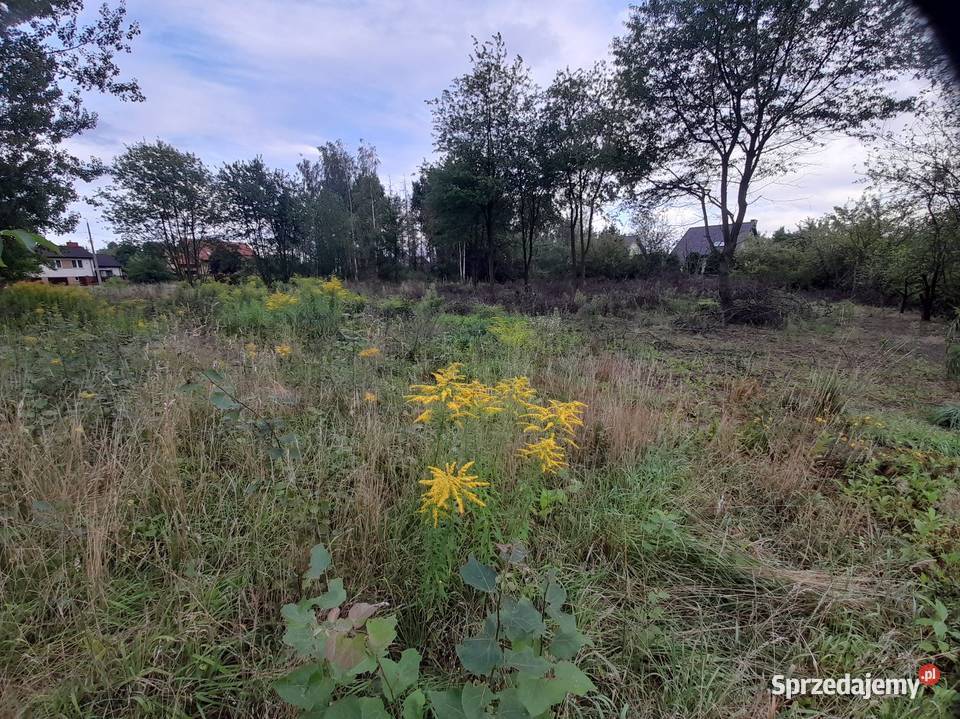 Sprzedam działki budowlane 980m2 i 670m2 Mszczonów