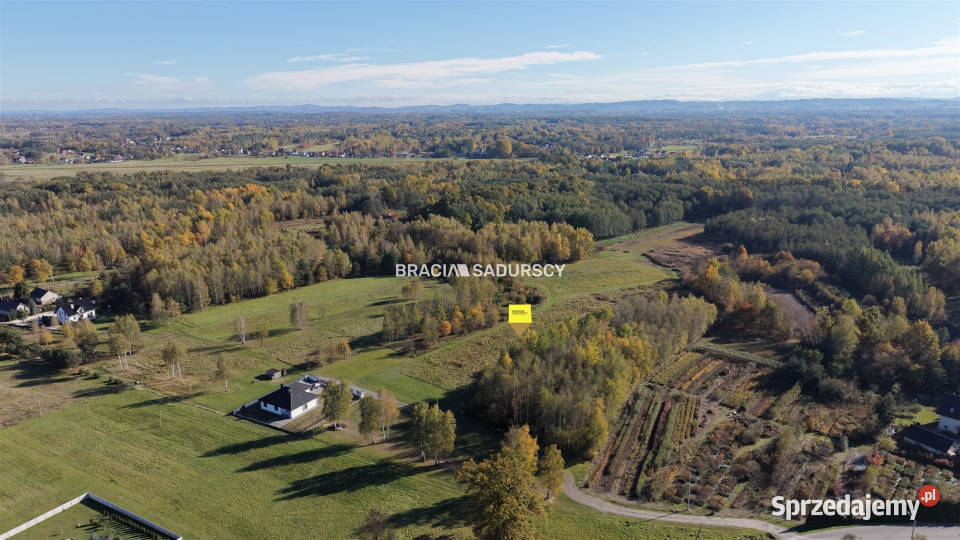 sprzedaży gruntu 4400m2 Buczków 117zł/m2