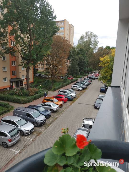 80 m2 wynajem w kamienicy Powiśle Park mazowieckie Warszawa sprzedam
