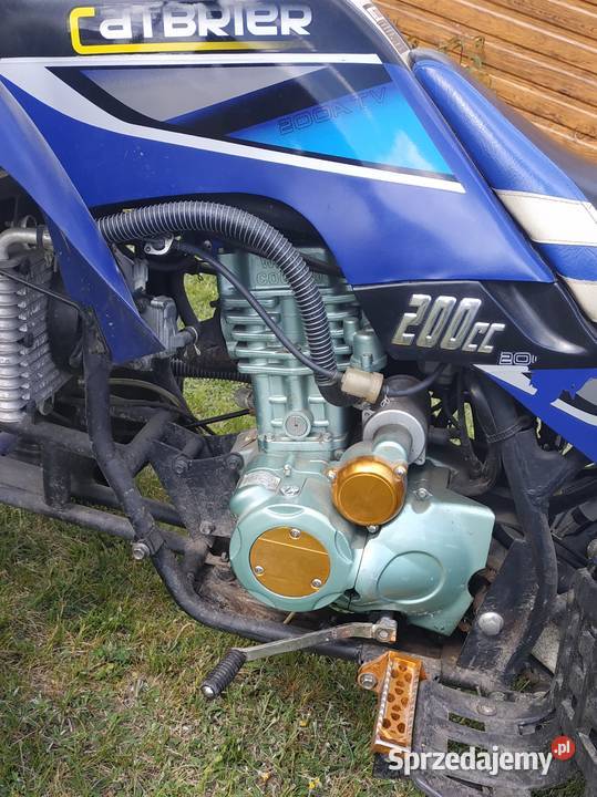 Bashan 200 Catbrier Rogale