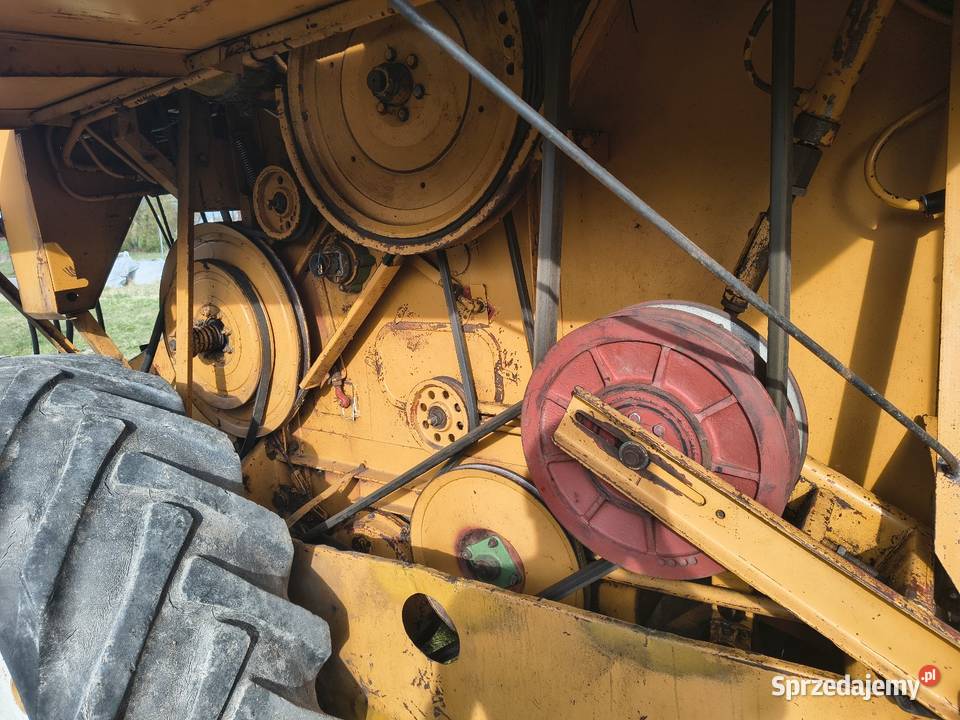 Bizon z056 Stanisławów