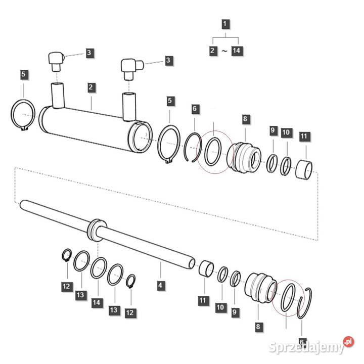 Oring 344 x 310 mm LS XJ25 LS MT125 LS MT335 LS Tajęcina