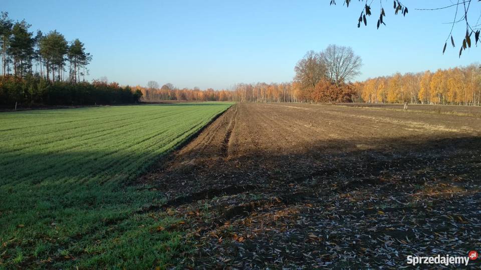 Działka rolnobudowlana 15000m asfalt sprzedam