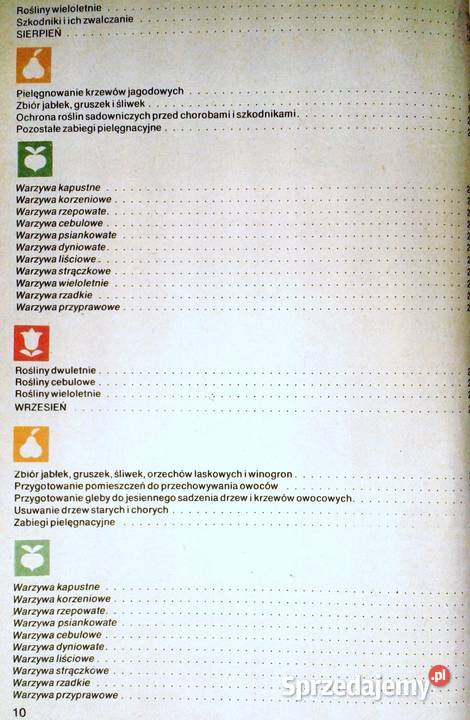 na działce D Haas Z Kawecki J Marcinkowski Chełm