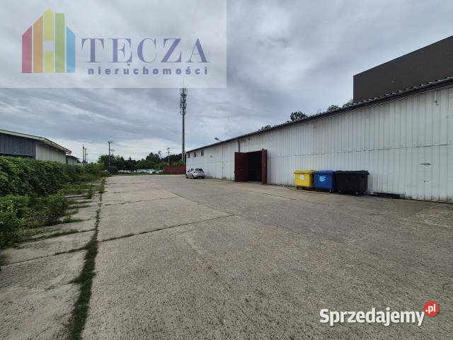 wynajmu lokalu 225m2 Ząbki Wynajem mazowieckie sprzedam