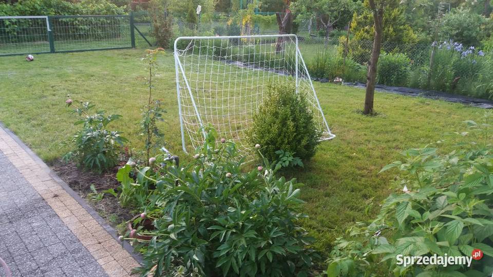 Działka ROD Warszawa Paluch Krokus