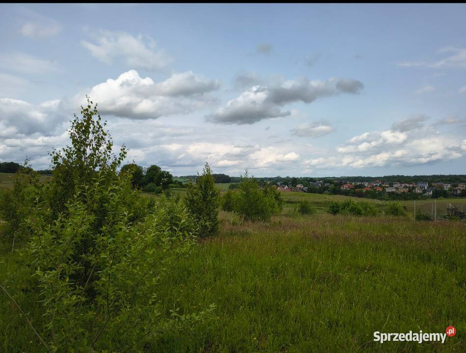 Sprzedam działkę z pięknym widokiem Sprzedaż Żukowo