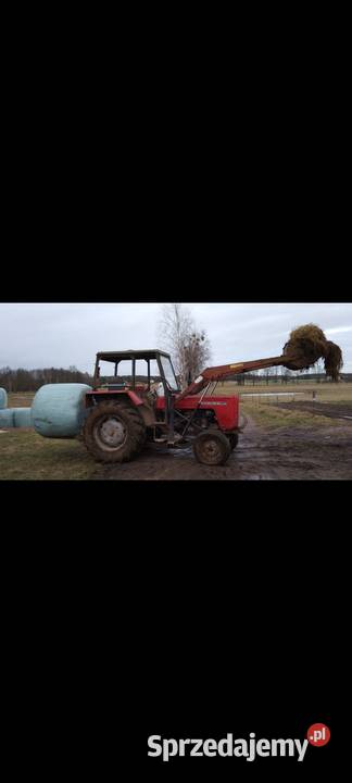 C 4011 Sztabin sprzedam