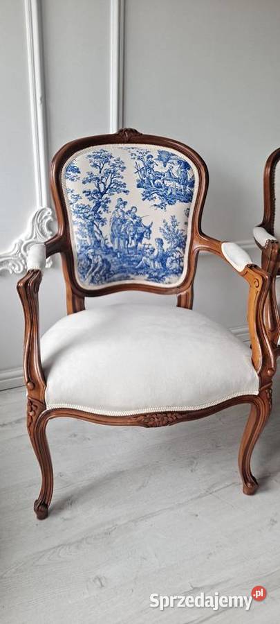 Stylowy fotel scenki rodzajowe Ludwik zachodniopomorskie Szczecin sprzedam