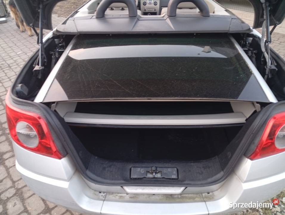 Reno Cabrio Gostynin