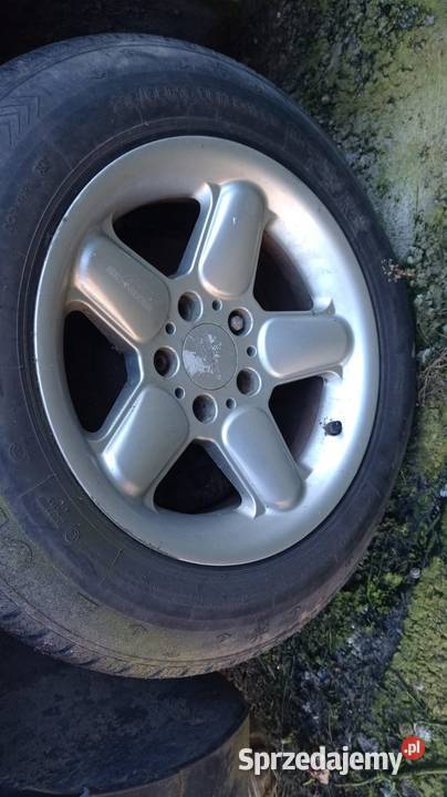 Org AC schnitzer type 2 16 Września